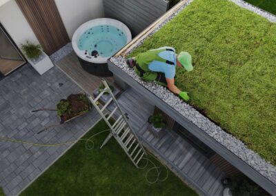 Milieu-vriendelijke Groene Dak Installatie
